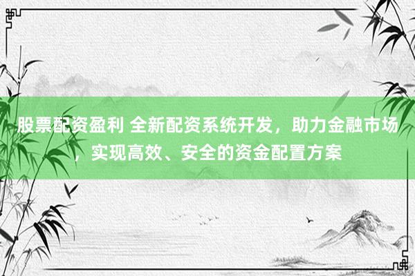 股票配资盈利 全新配资系统开发，助力金融市场，实现高效、安全的资金配置方案