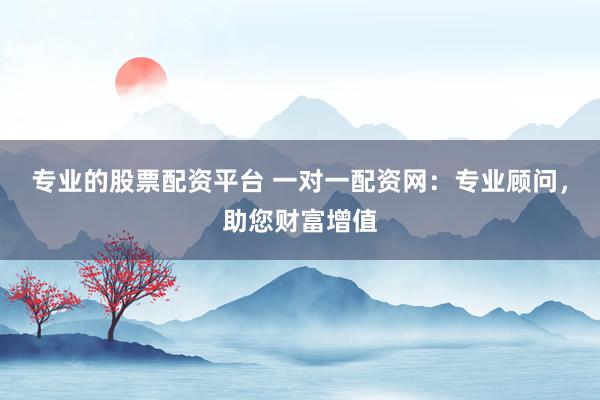 专业的股票配资平台 一对一配资网：专业顾问，助您财富增值