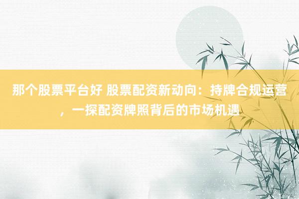 那个股票平台好 股票配资新动向：持牌合规运营，一探配资牌照背后的市场机遇