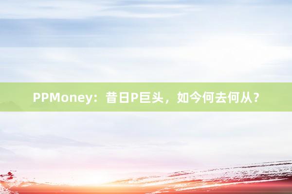 PPMoney：昔日P巨头，如今何去何从？