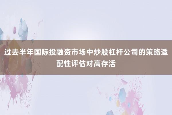 过去半年国际投融资市场中炒股杠杆公司的策略适配性评估对高存活