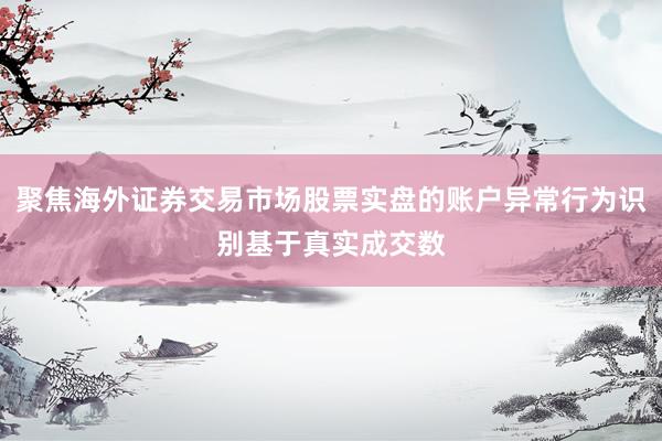 聚焦海外证券交易市场股票实盘的账户异常行为识别基于真实成交数