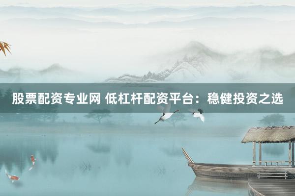 股票配资专业网 低杠杆配资平台：稳健投资之选