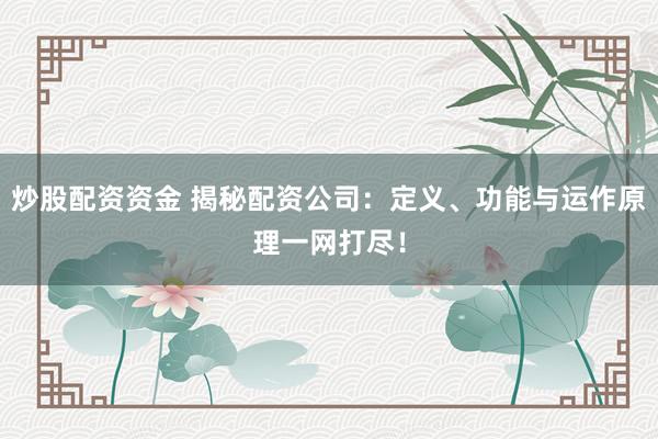 炒股配资资金 揭秘配资公司：定义、功能与运作原理一网打尽！