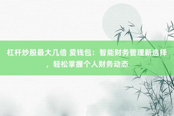 杠杆炒股最大几倍 爱钱包：智能财务管理新选择，轻松掌握个人财务动态